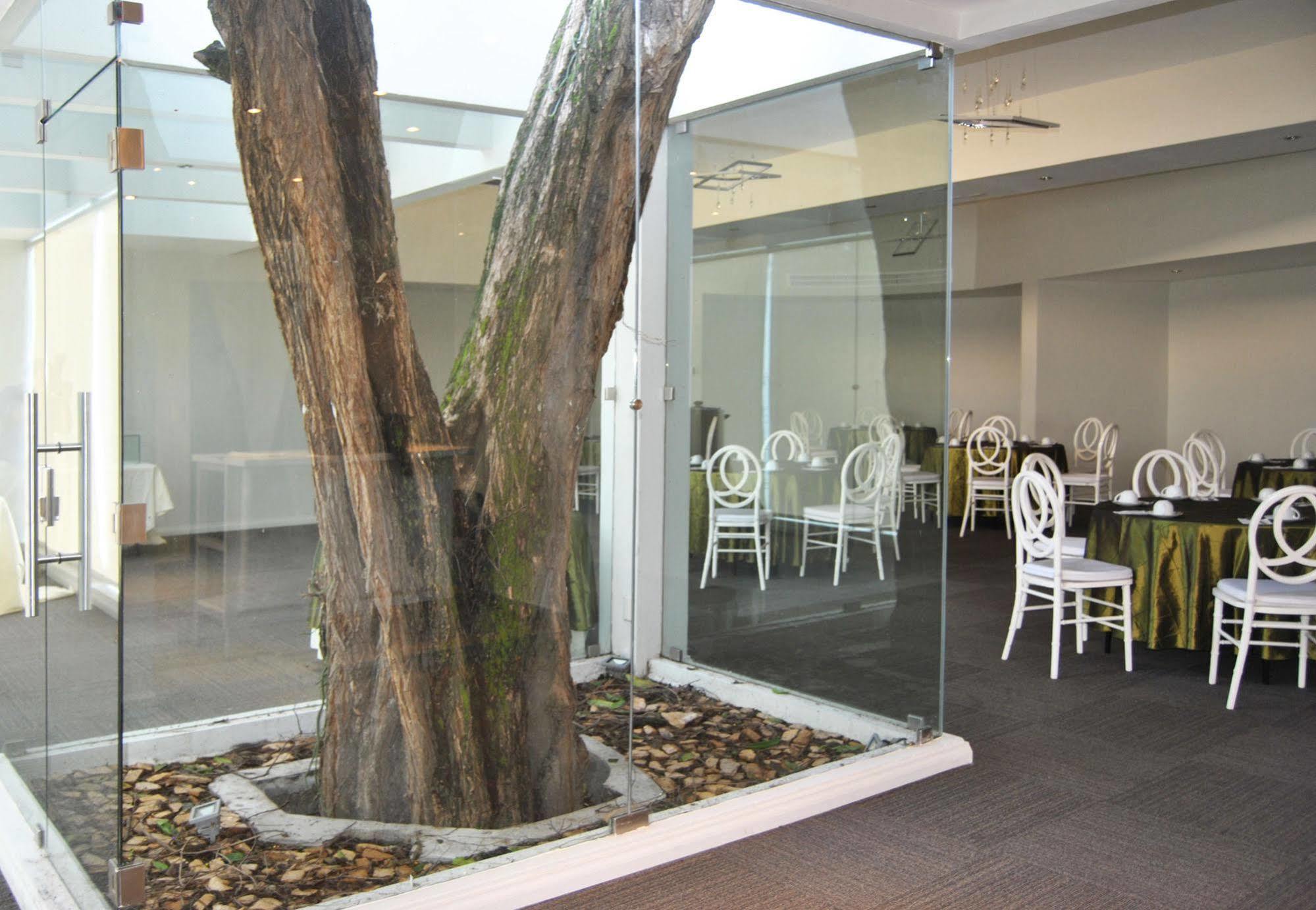 Hotel Los Andes San Pedro Sula Extérieur photo